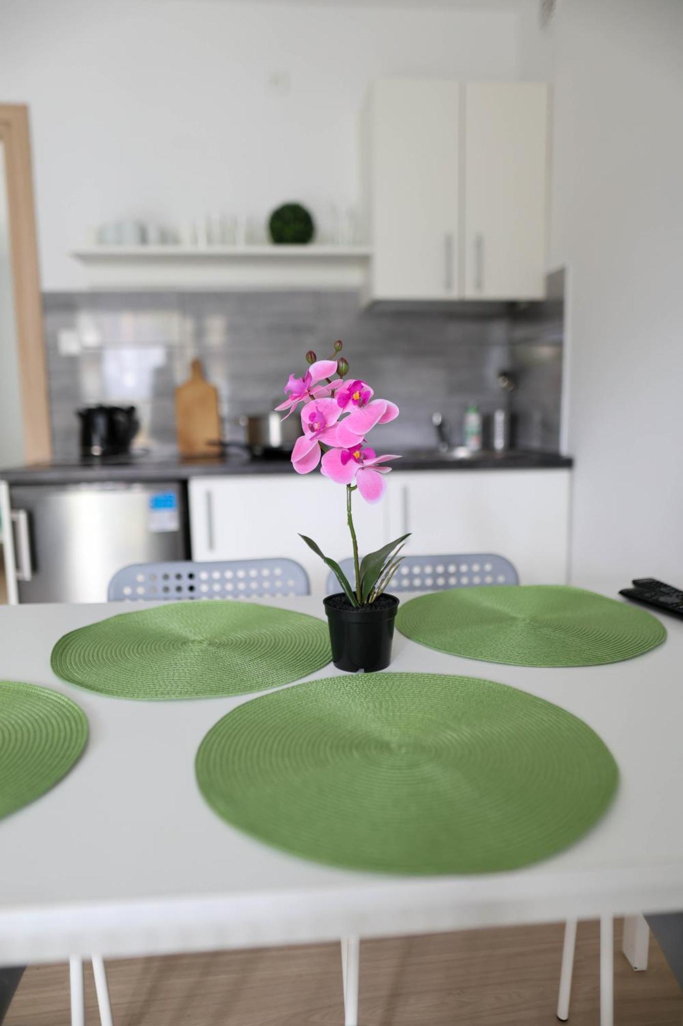 Apartamenty Poddabek- Basen Kryty, Sauna, Animacje Dla Dzieci , Malpi Gaj, Baseny Na Dachu Poddąbie Extérieur photo