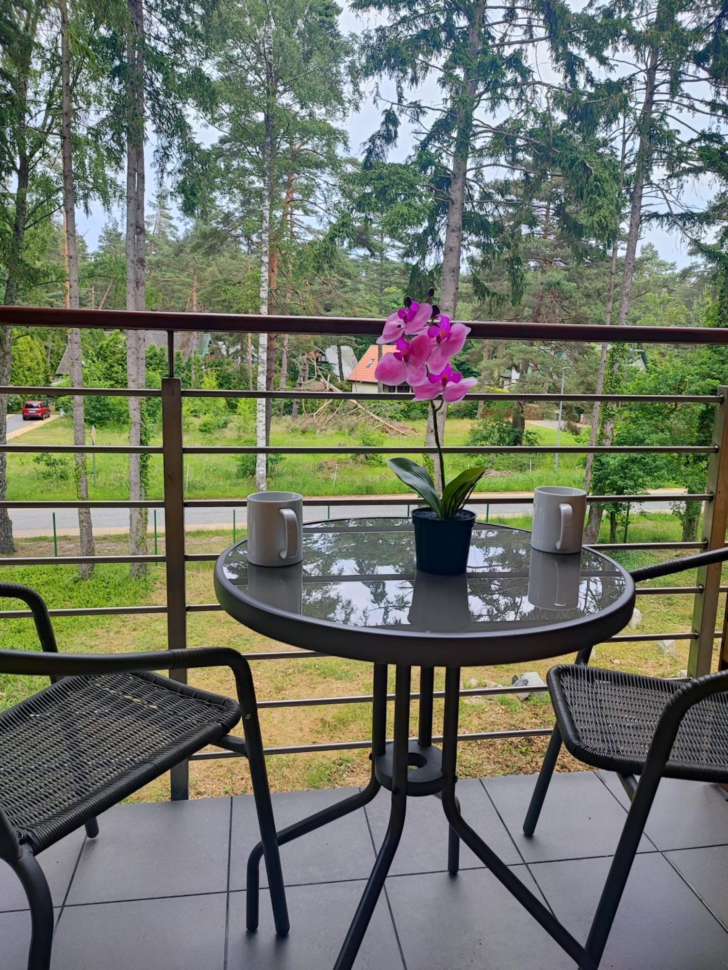 Apartamenty Poddabek- Basen Kryty, Sauna, Animacje Dla Dzieci , Malpi Gaj, Baseny Na Dachu Poddąbie Extérieur photo